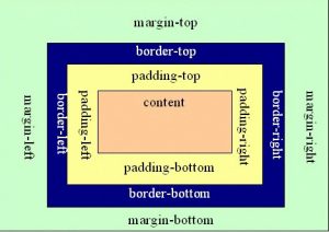 CSS中Margin和padding属性的区别
